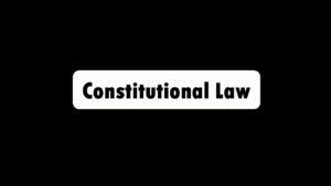 Constitutional law - Litigating Hand