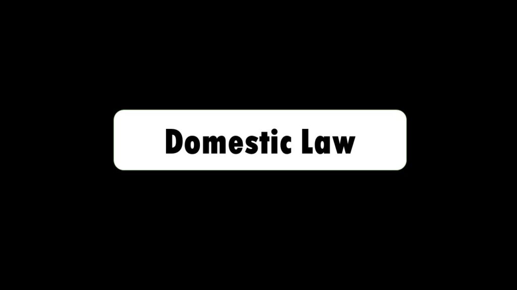 Domestic Law