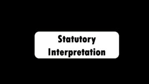 Statutory Interpretation - Litigating Hand