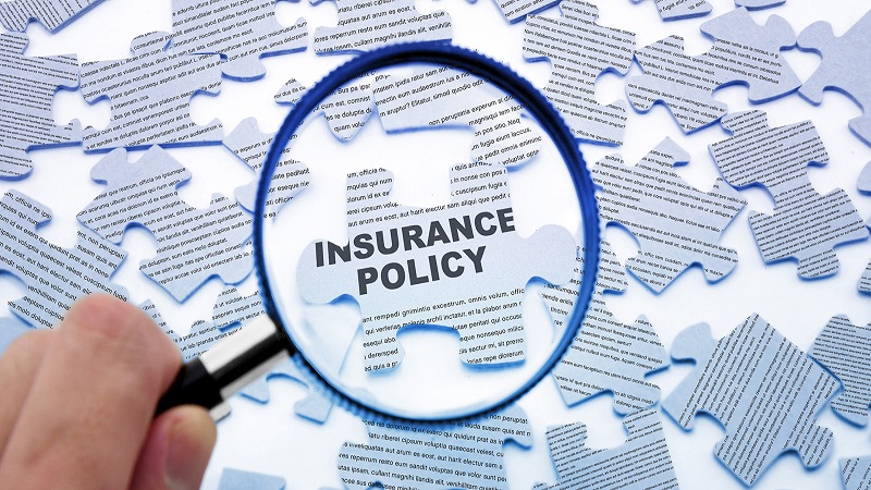 insurance policy