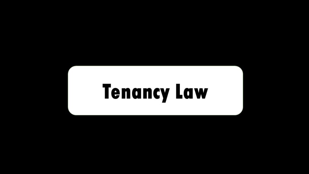 Tenancy Law